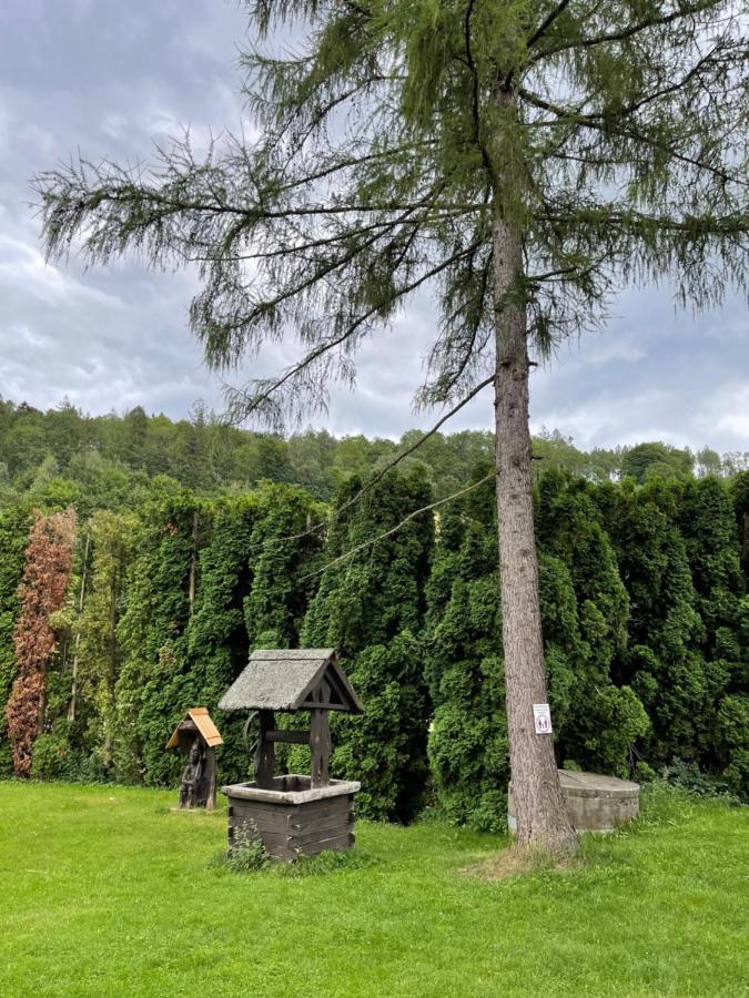 Penzion Hajenka Petrovice  Экстерьер фото