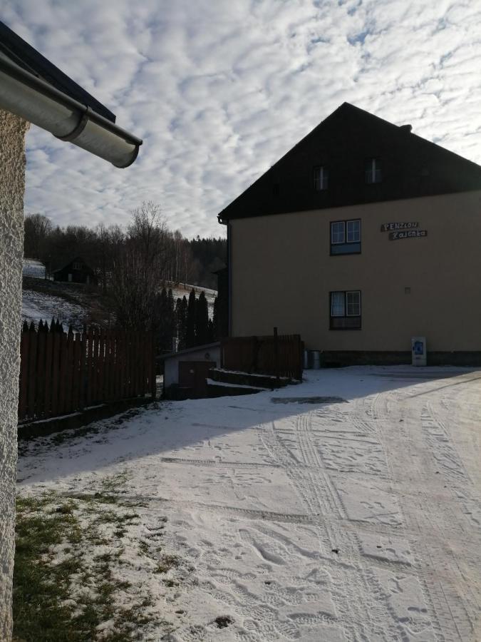 Penzion Hajenka Petrovice  Экстерьер фото